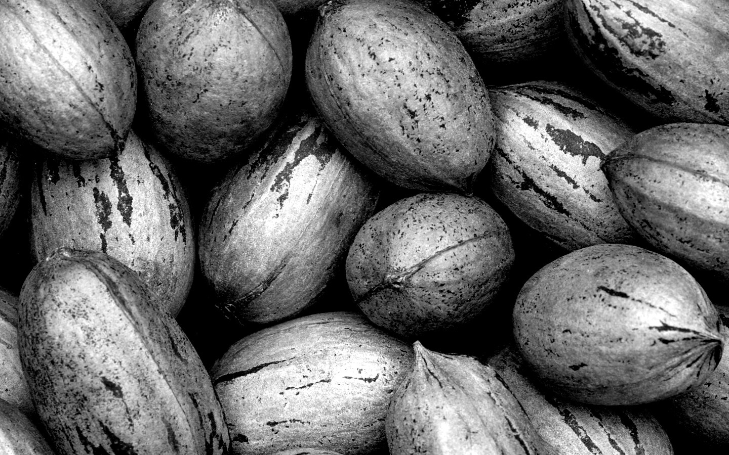 Грецкие орехи обои