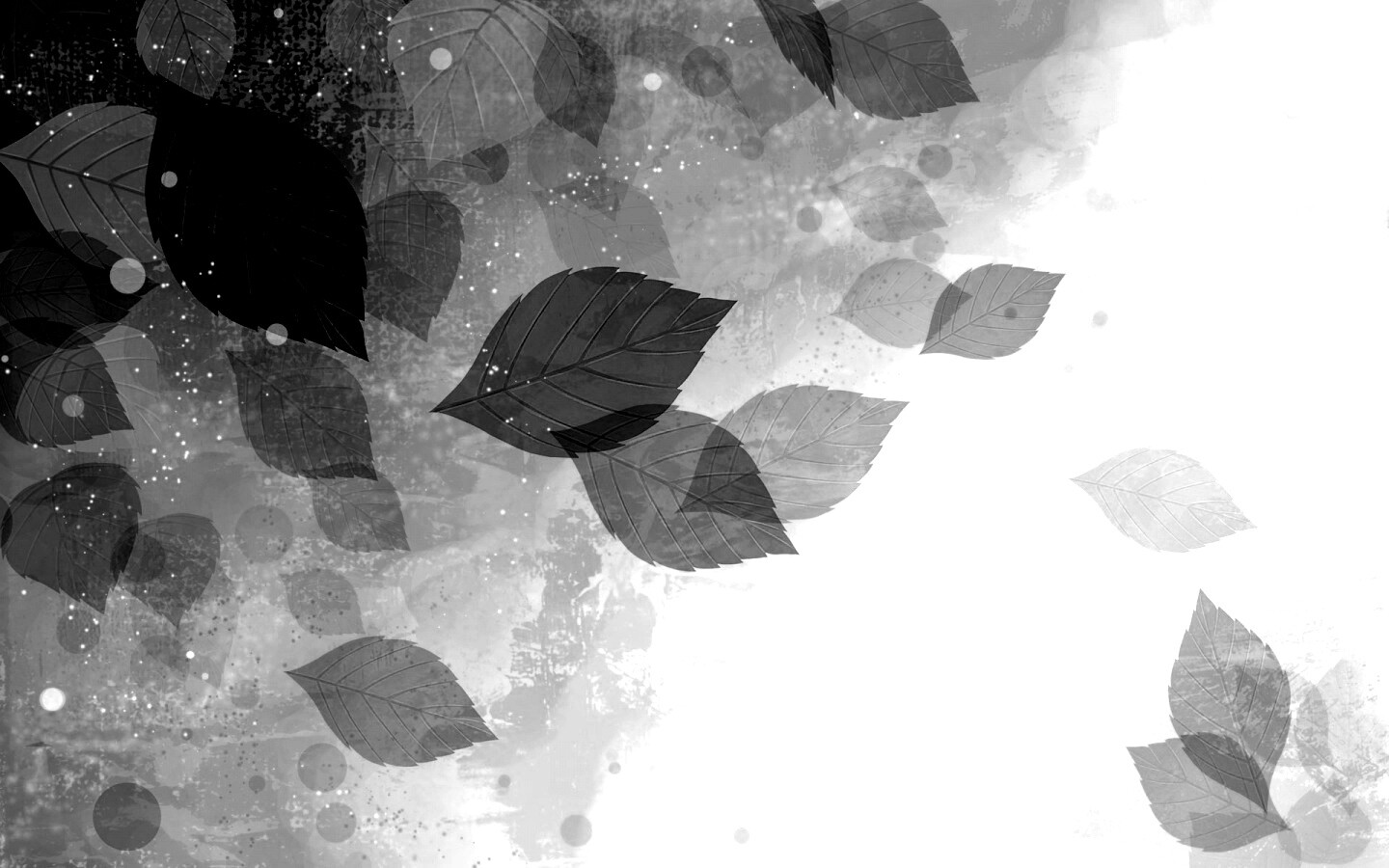 Прозрачные листья обои