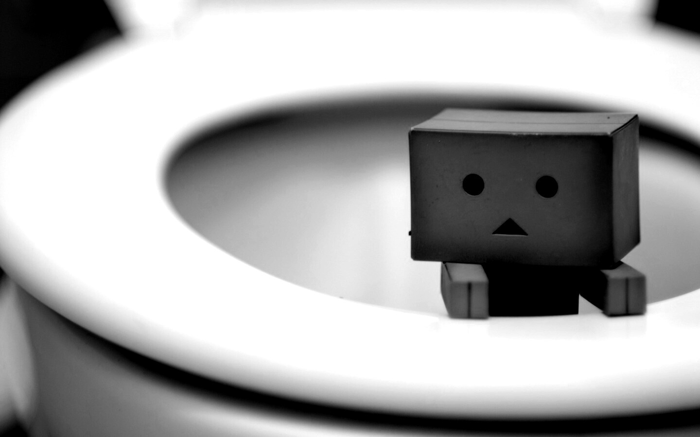 Danbo в унитазе обои