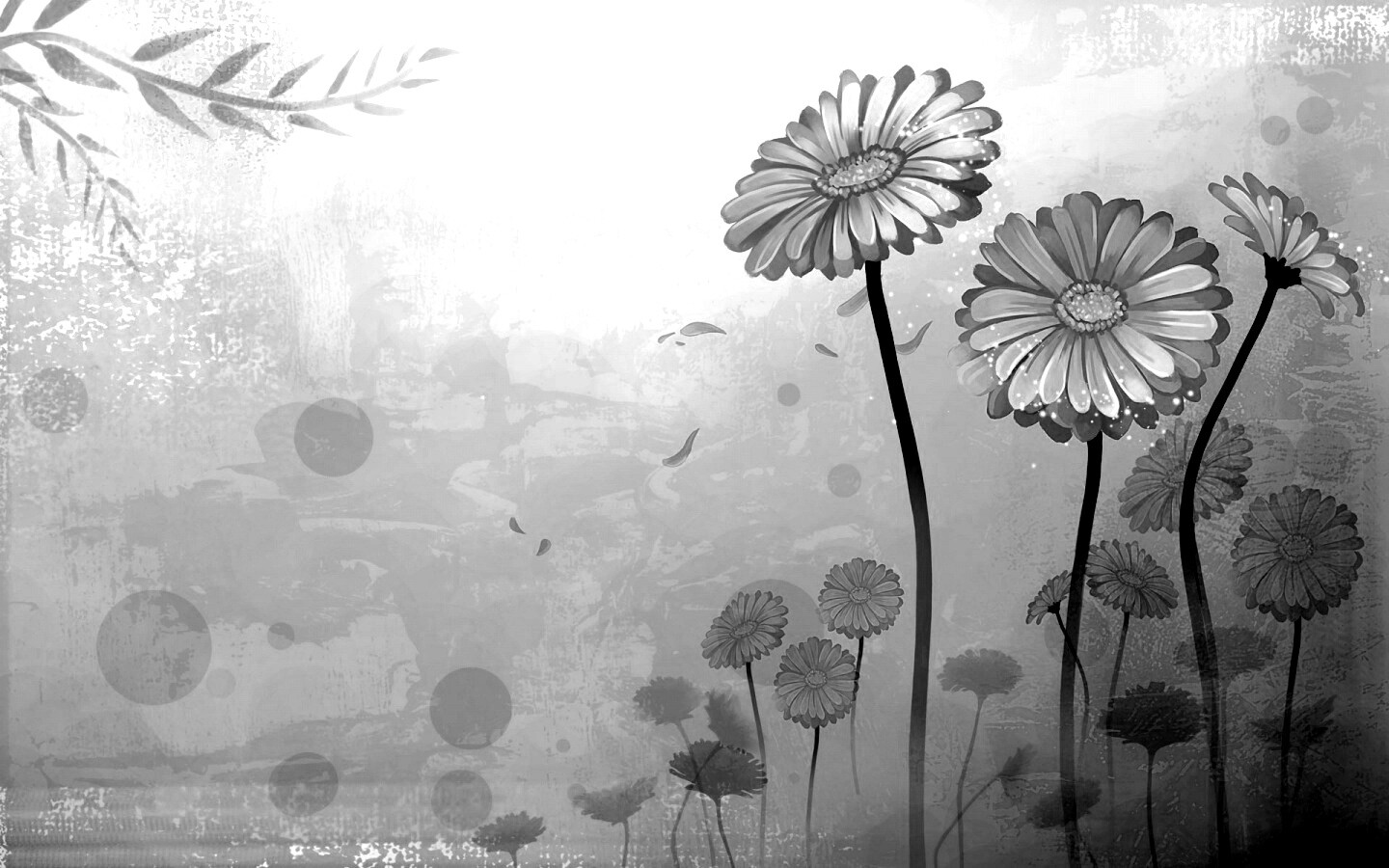 Векторные ромашки обои