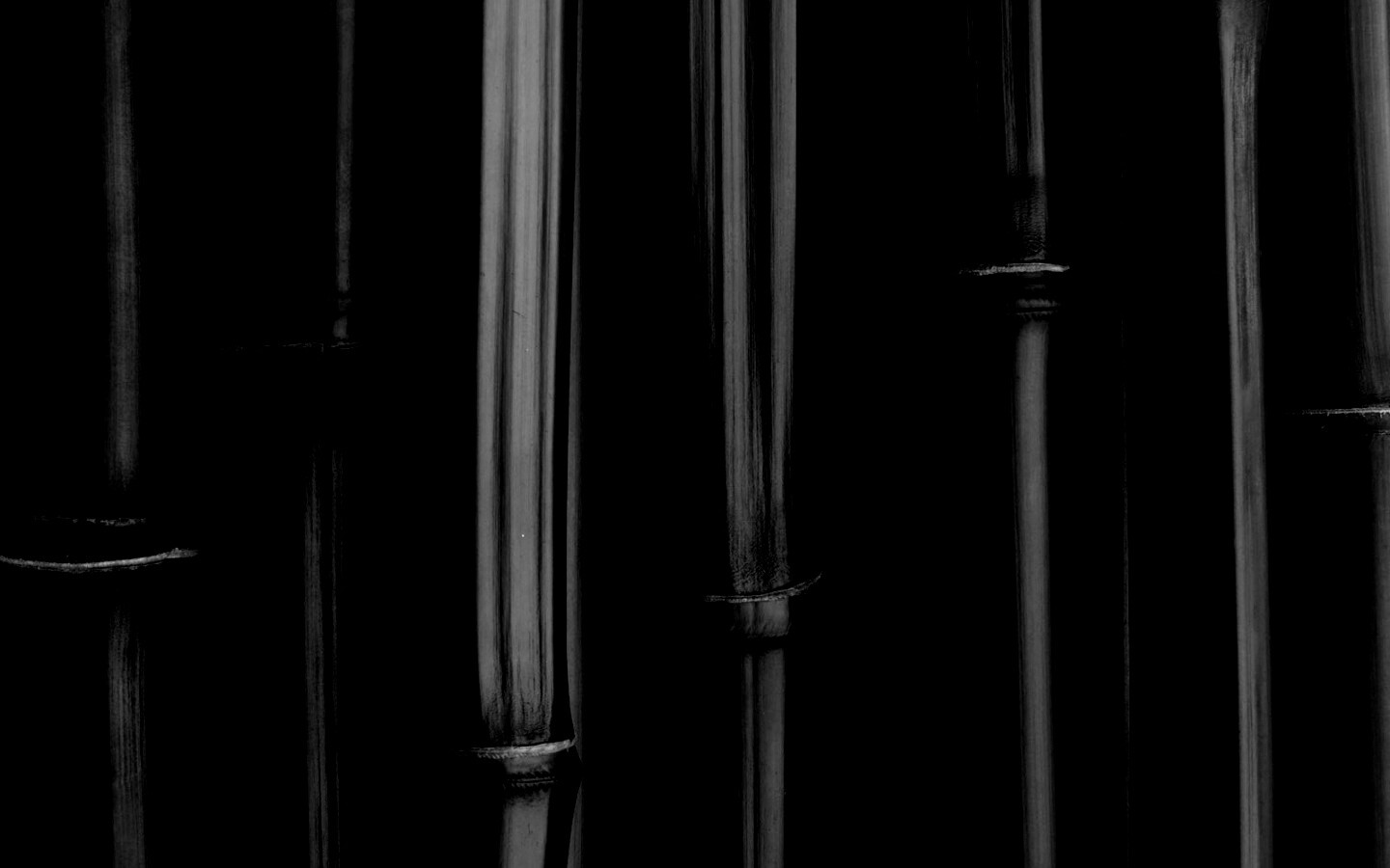 Бамбуковая роща обои