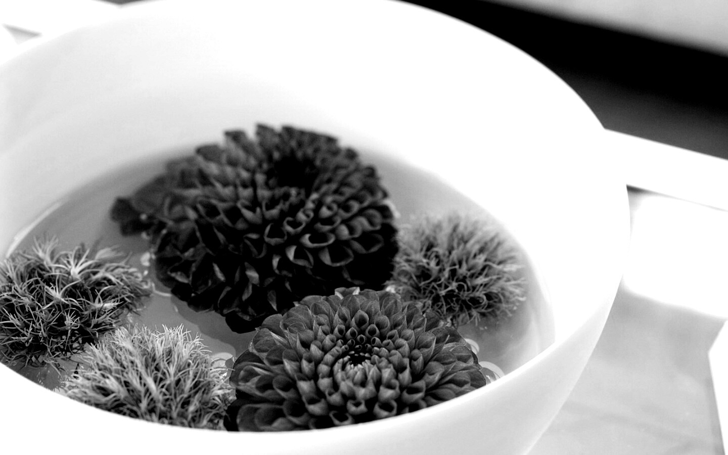 Чаша с цветами обои