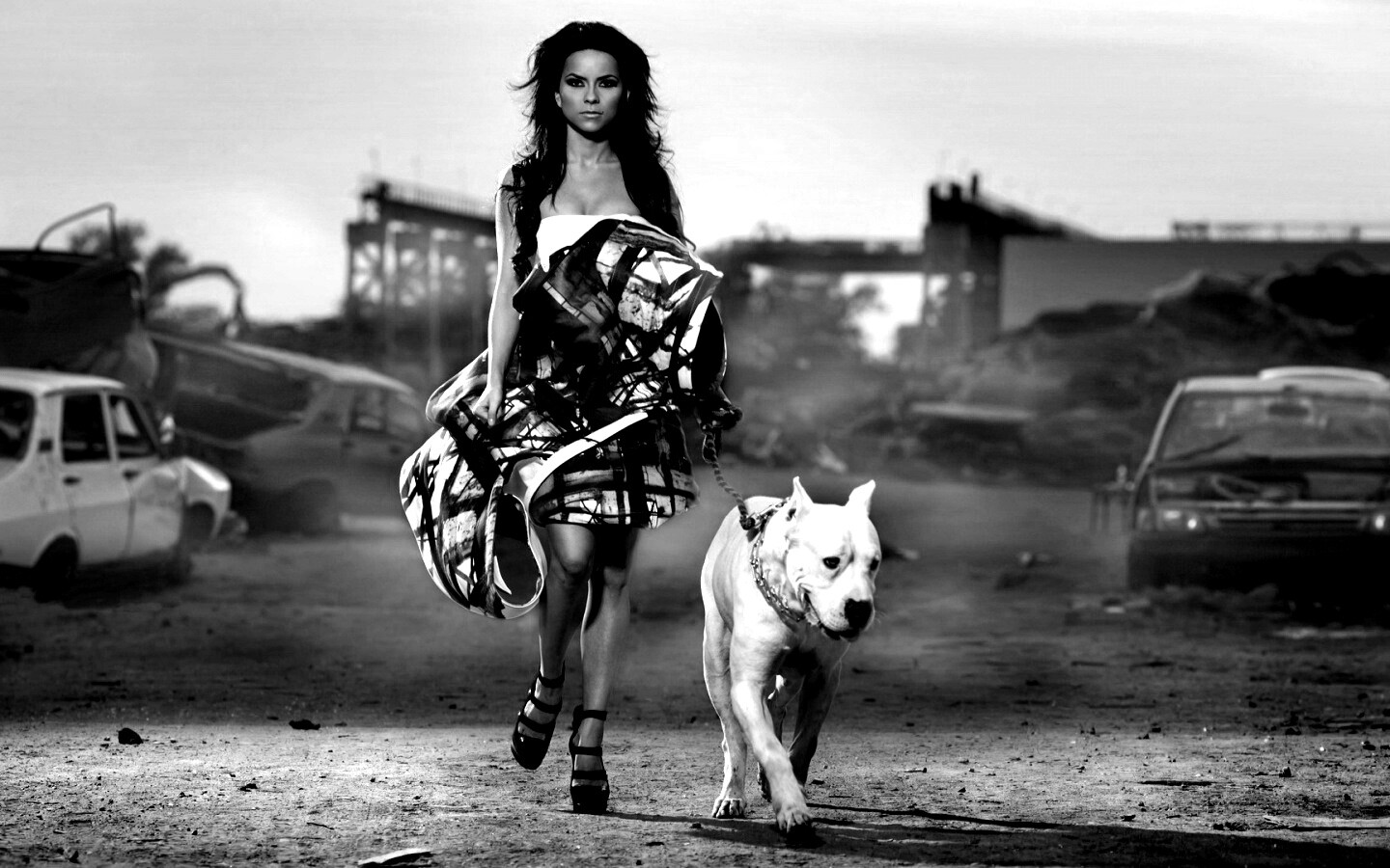 Девушка с питбулем обои