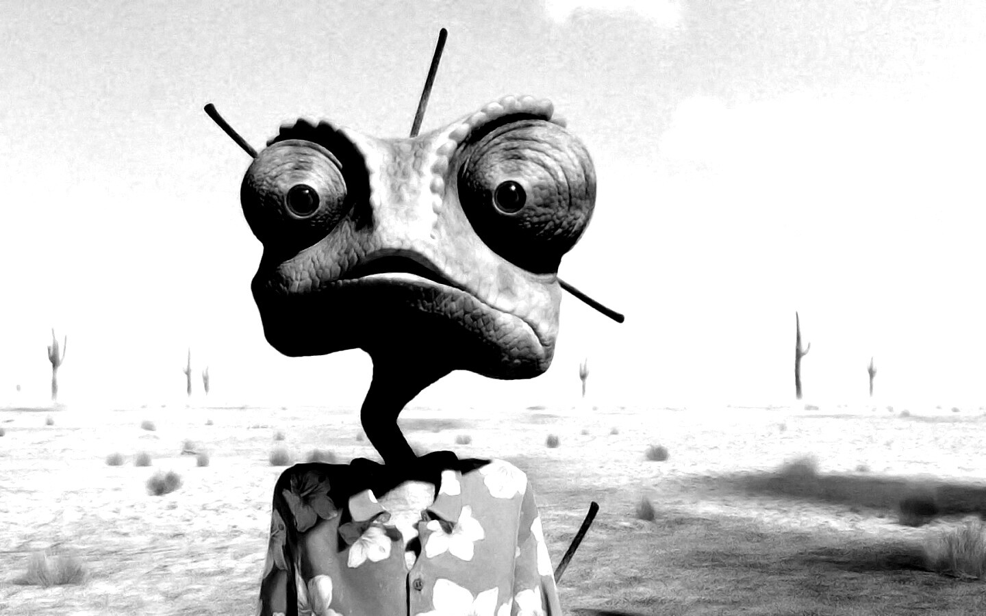 Ранго в колючках от кактуса обои