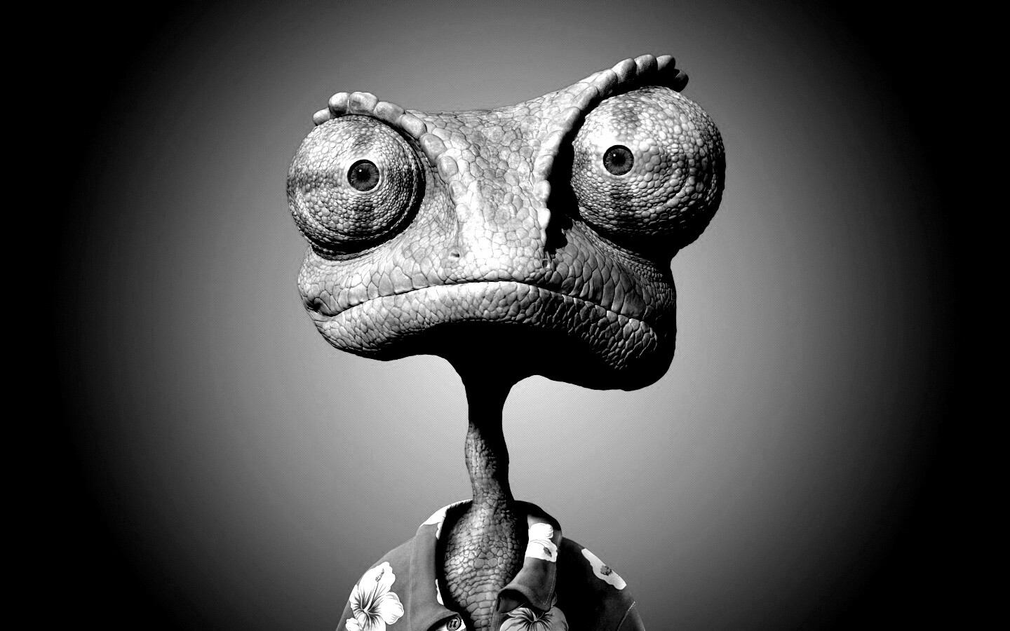 Ранго на красном фоне обои