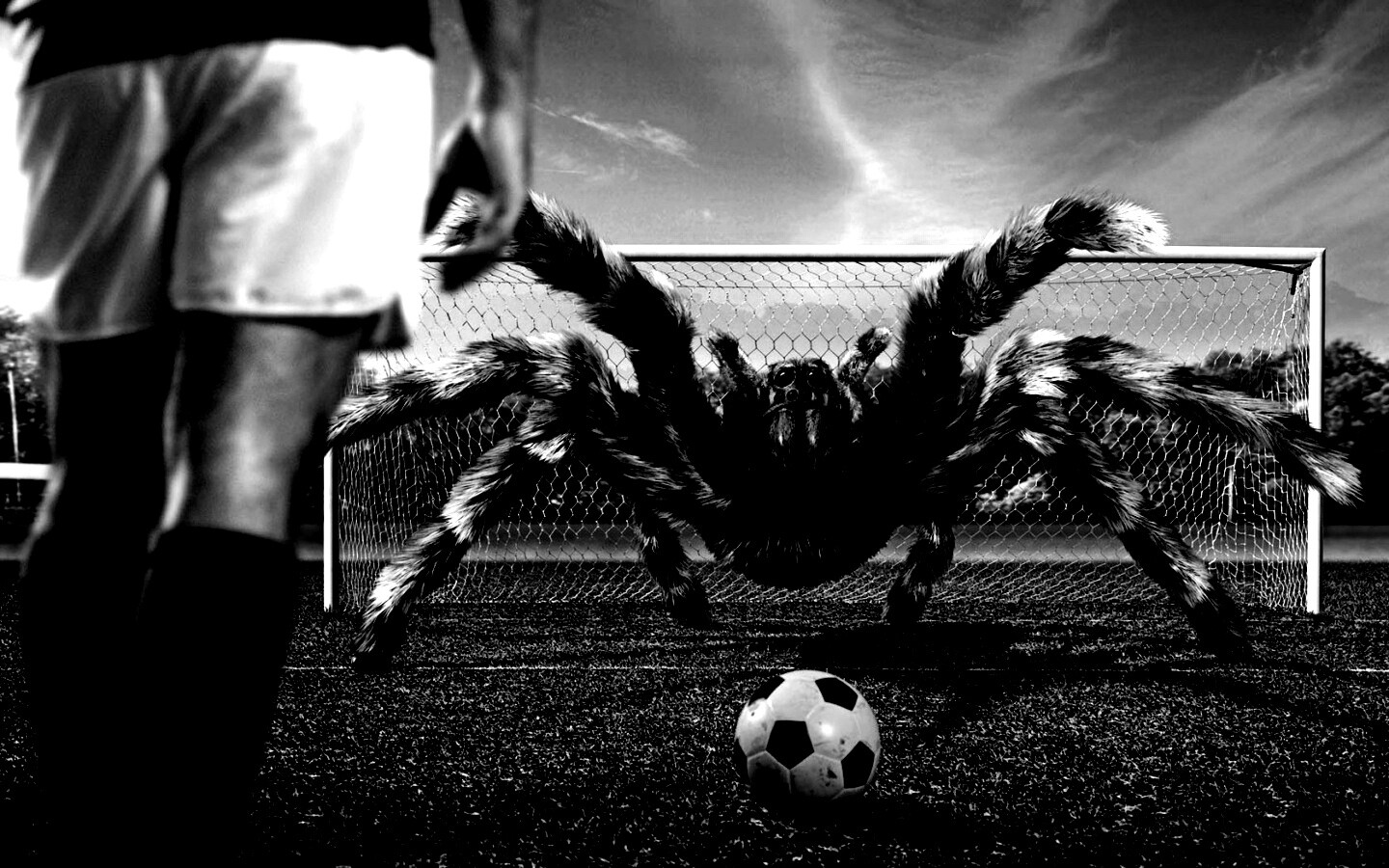 Вратарь обои