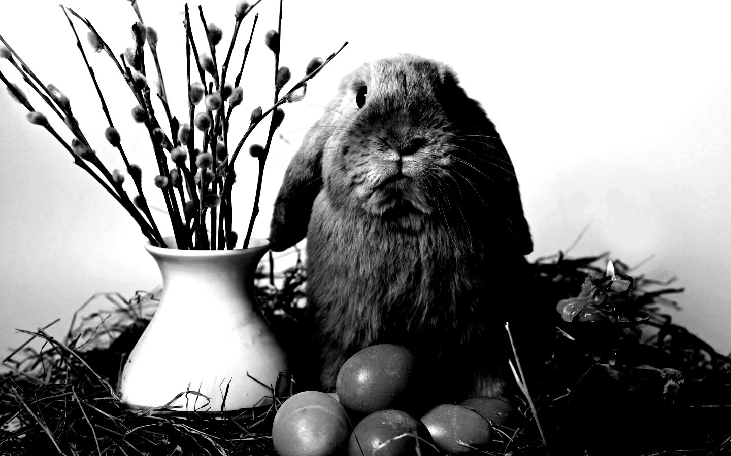 Пасхальный кролик обои