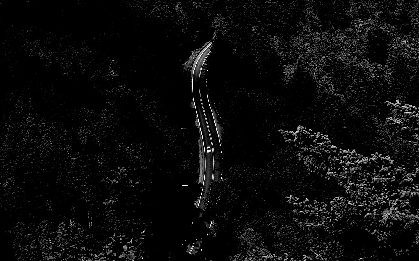 Лесная трасса обои