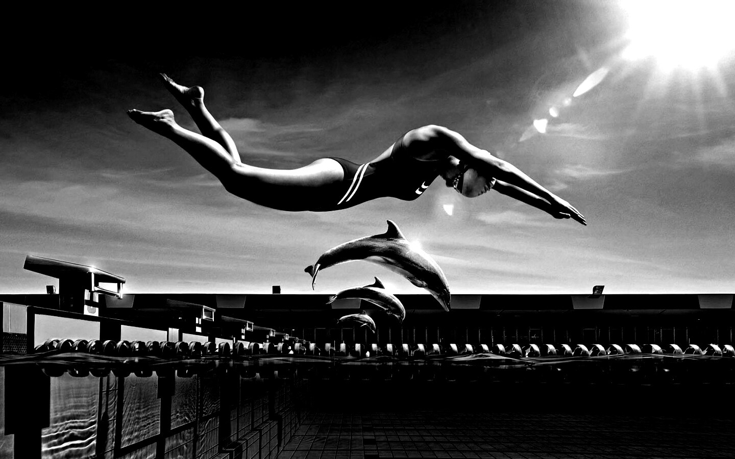 Соревнование обои