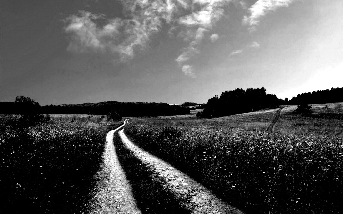 Дорога через луг обои