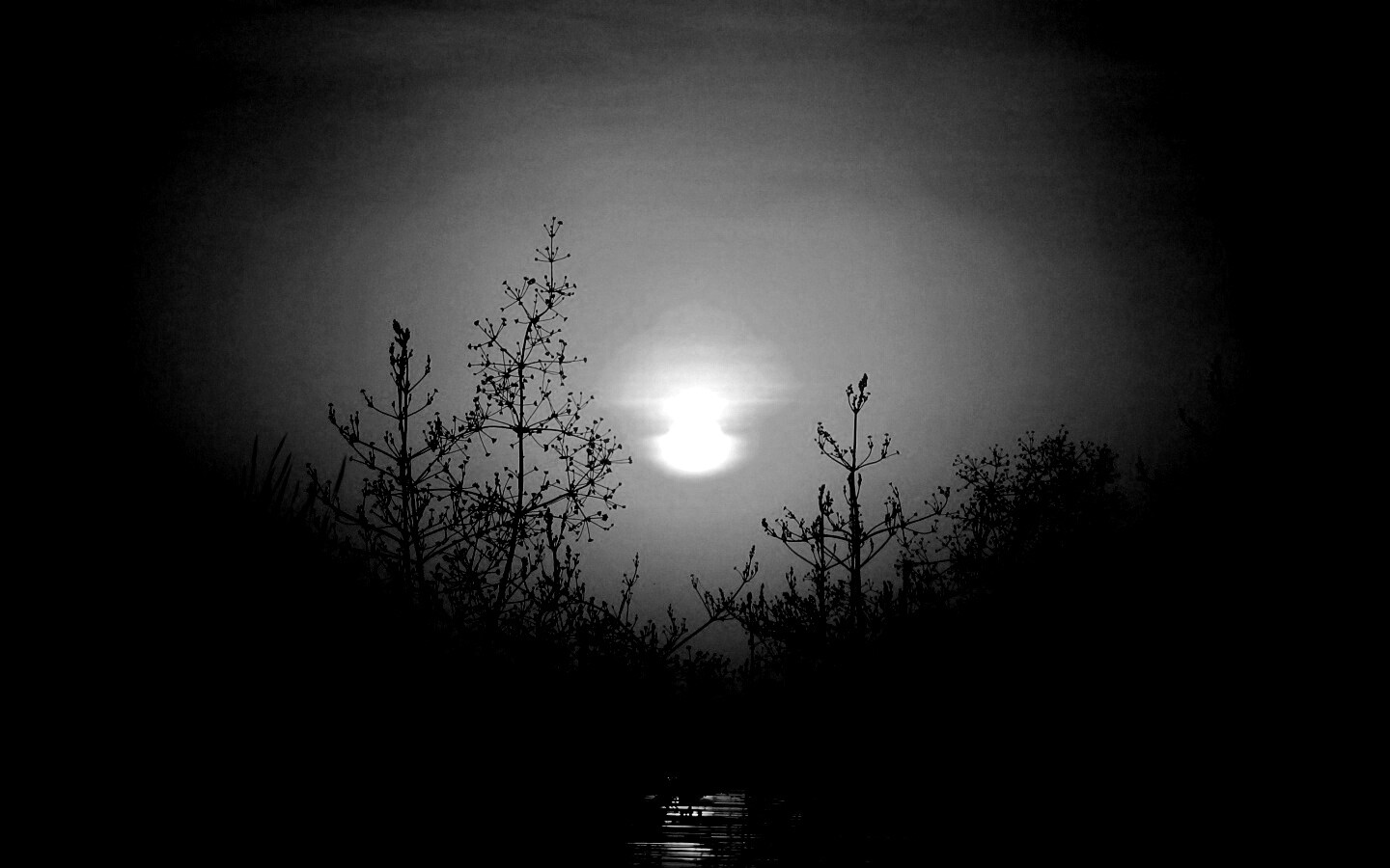 Доисторическое утро обои