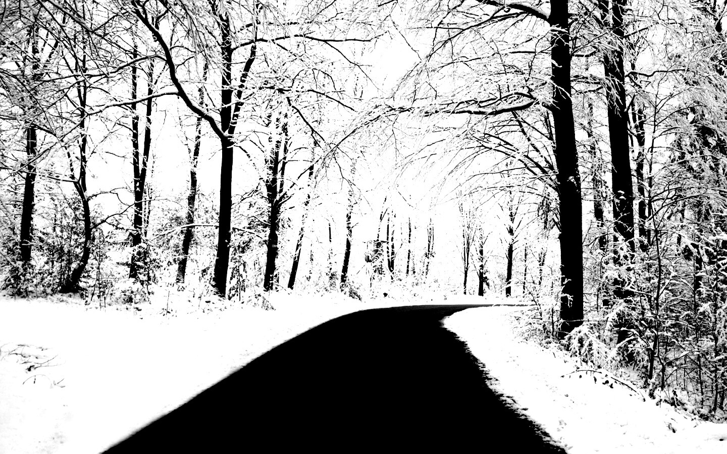 Дорога в зимнем лесу обои