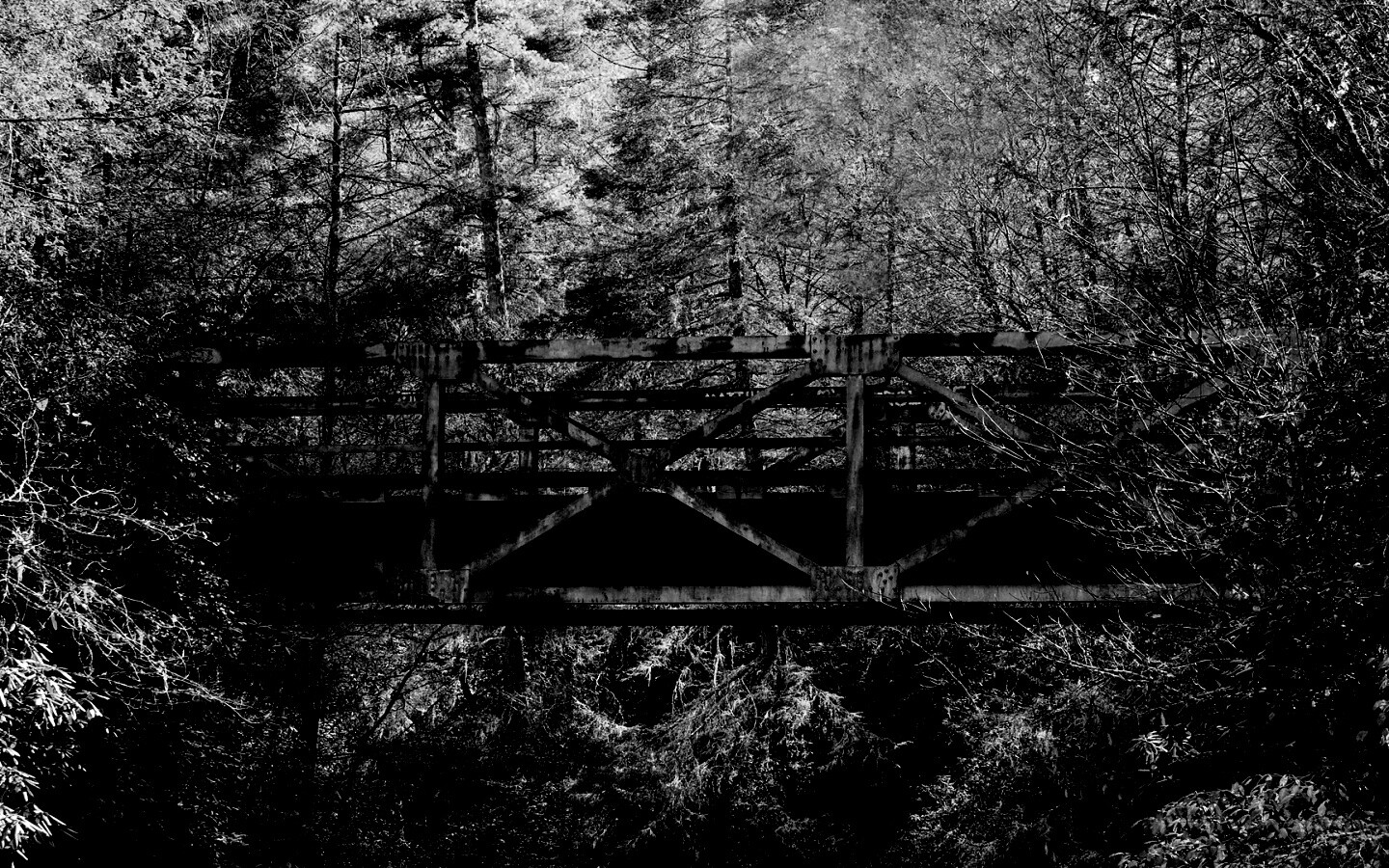 Металлический мост в лесной глуши обои