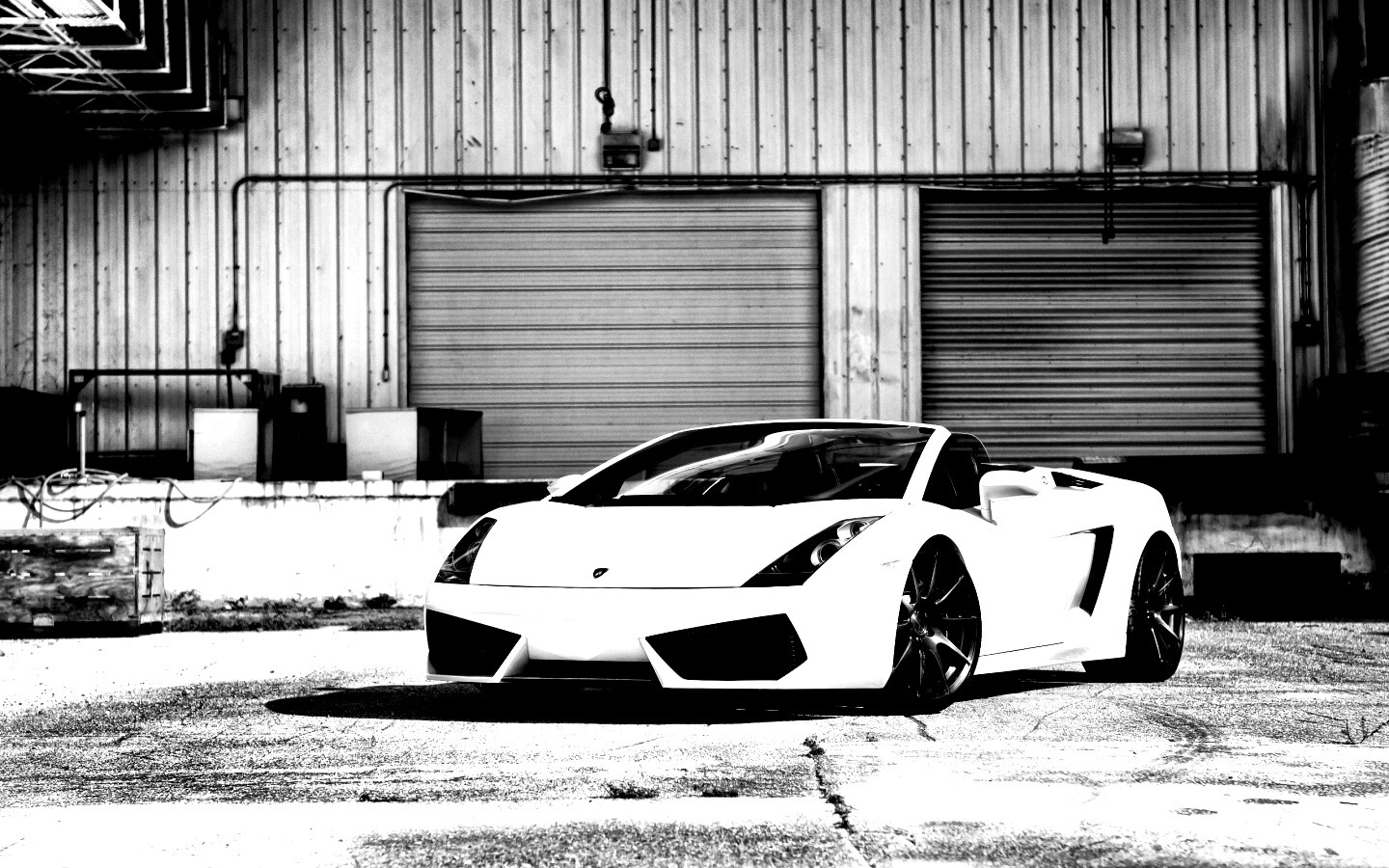 Белый спорткар Ламборгини Галлардо обои