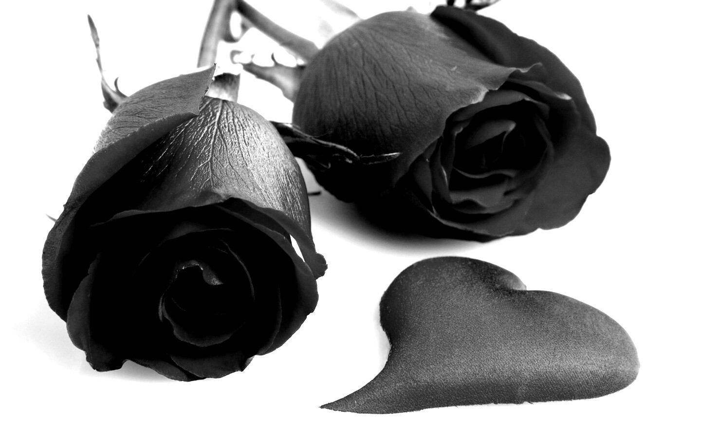 Две красные розы обои