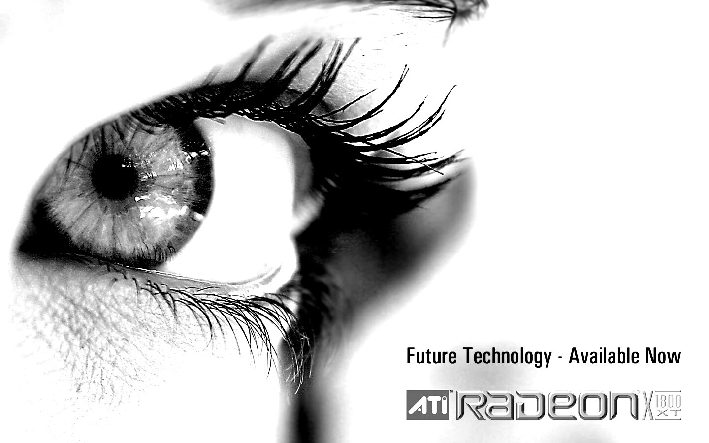 Ati Radeon Future Technology - available now обои