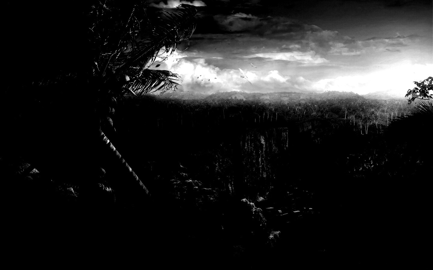 Вид на джунгли обои