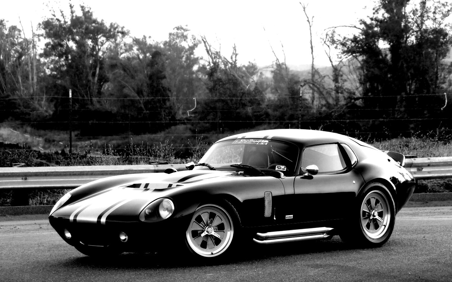 Shelby Daytona обои