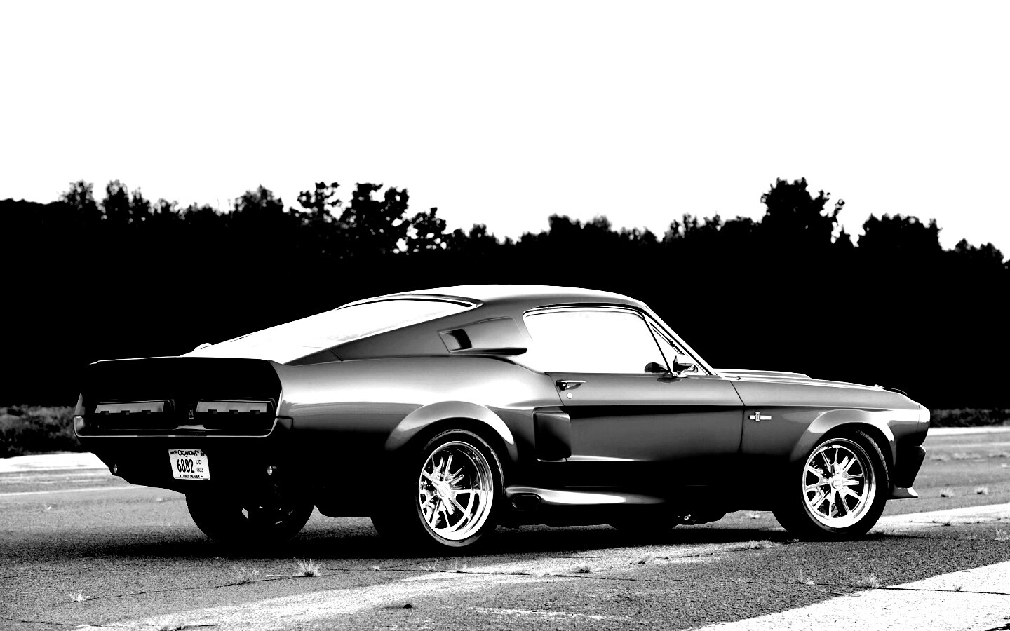 Shelby GT500 CR обои