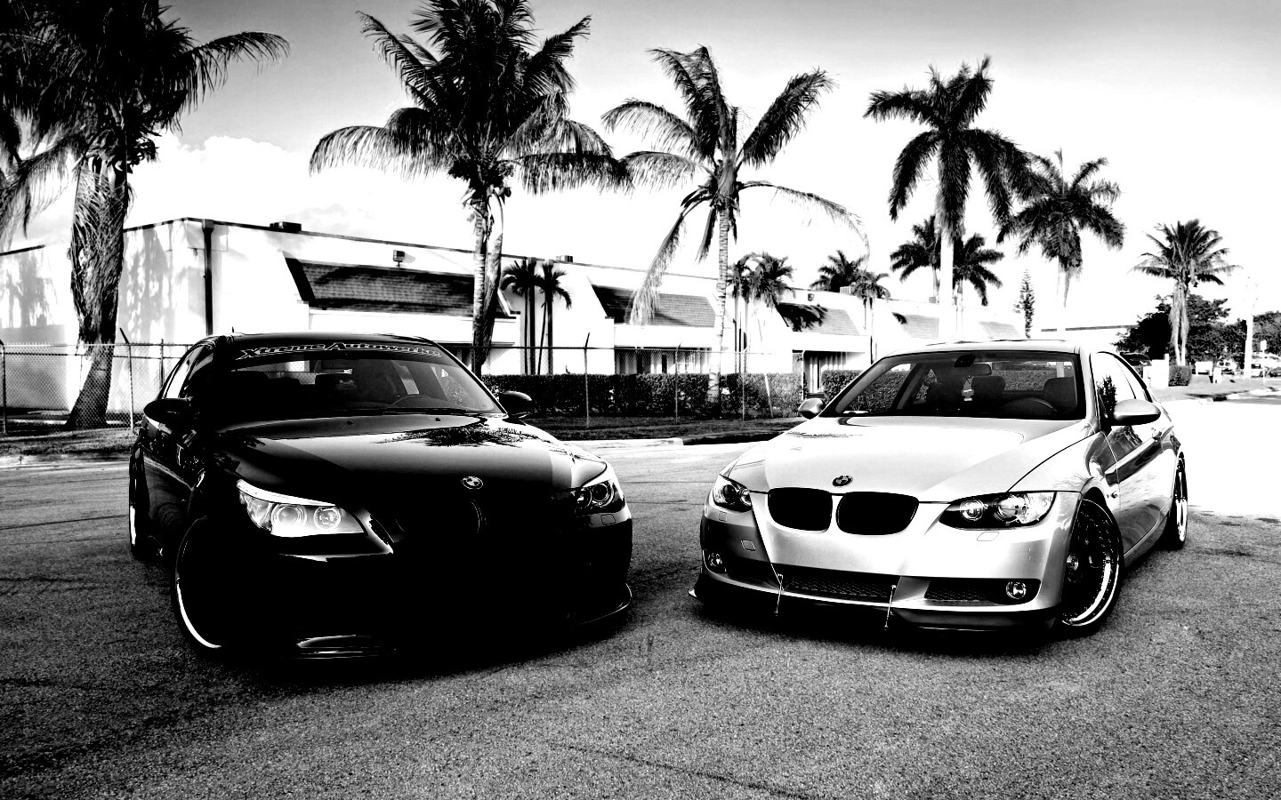 Две БМВ обои