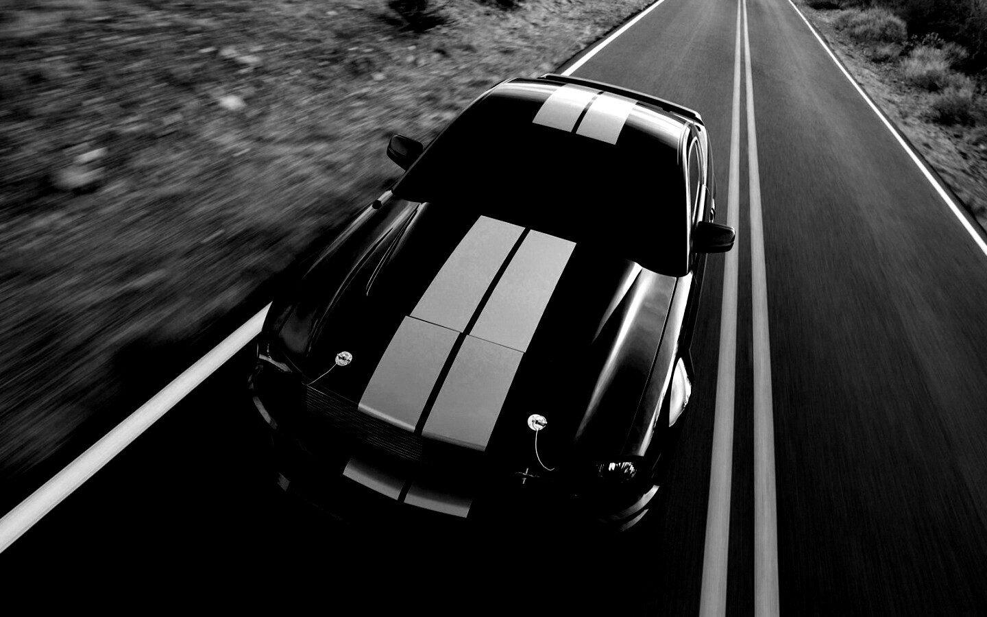 Ford Mustang  с гоночными полосками обои