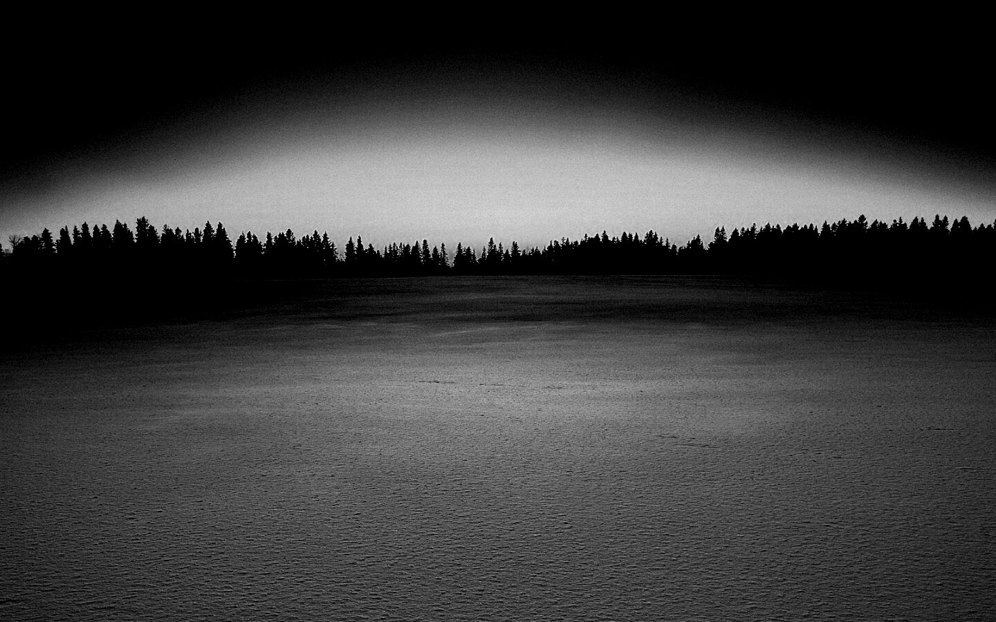 Восход над заснеженным лесом обои