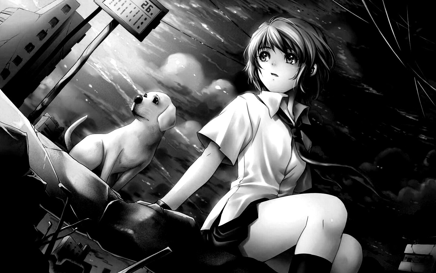 Девочка с собакой обои