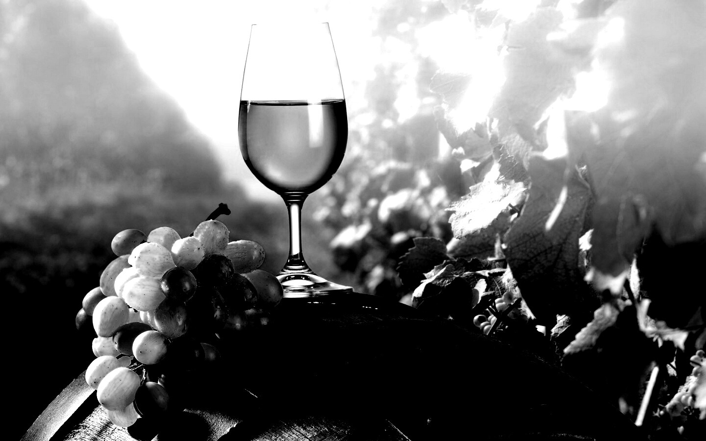 Винная бочка и бокал с белым вином обои