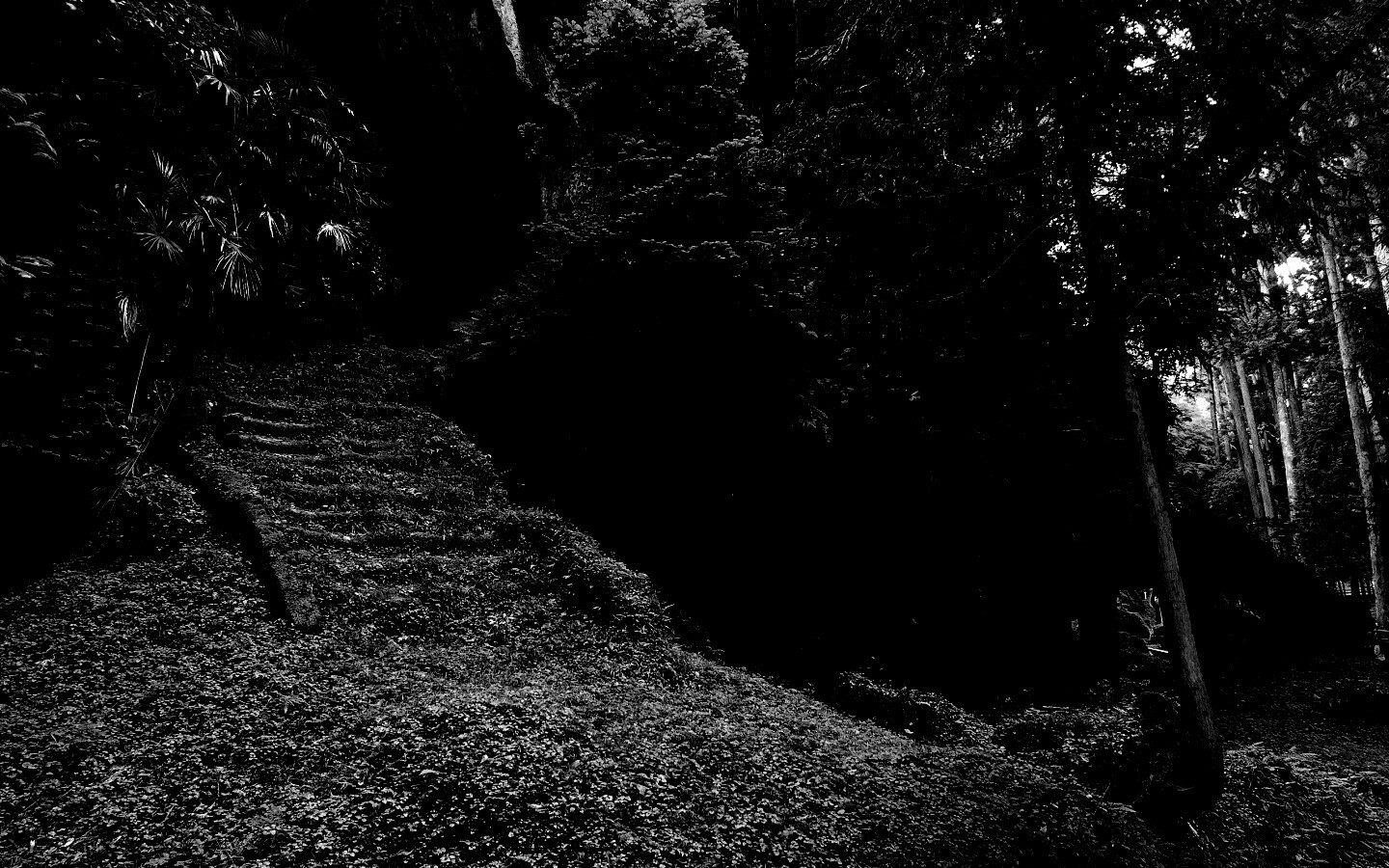 Старинный лесной храм обои