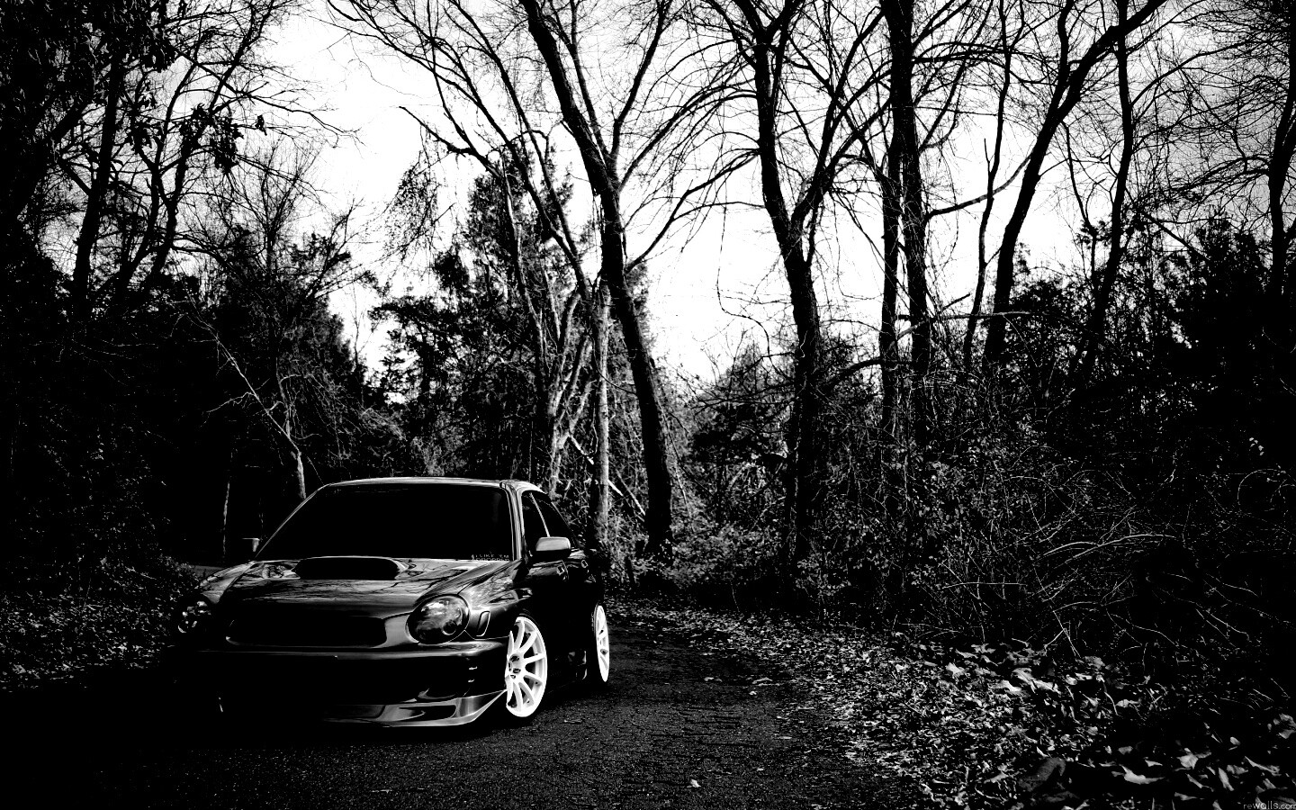 Субару Импреза на лесной дороге обои