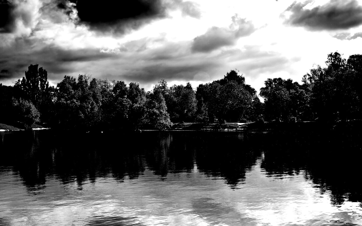 Деревья на берегу озера обои