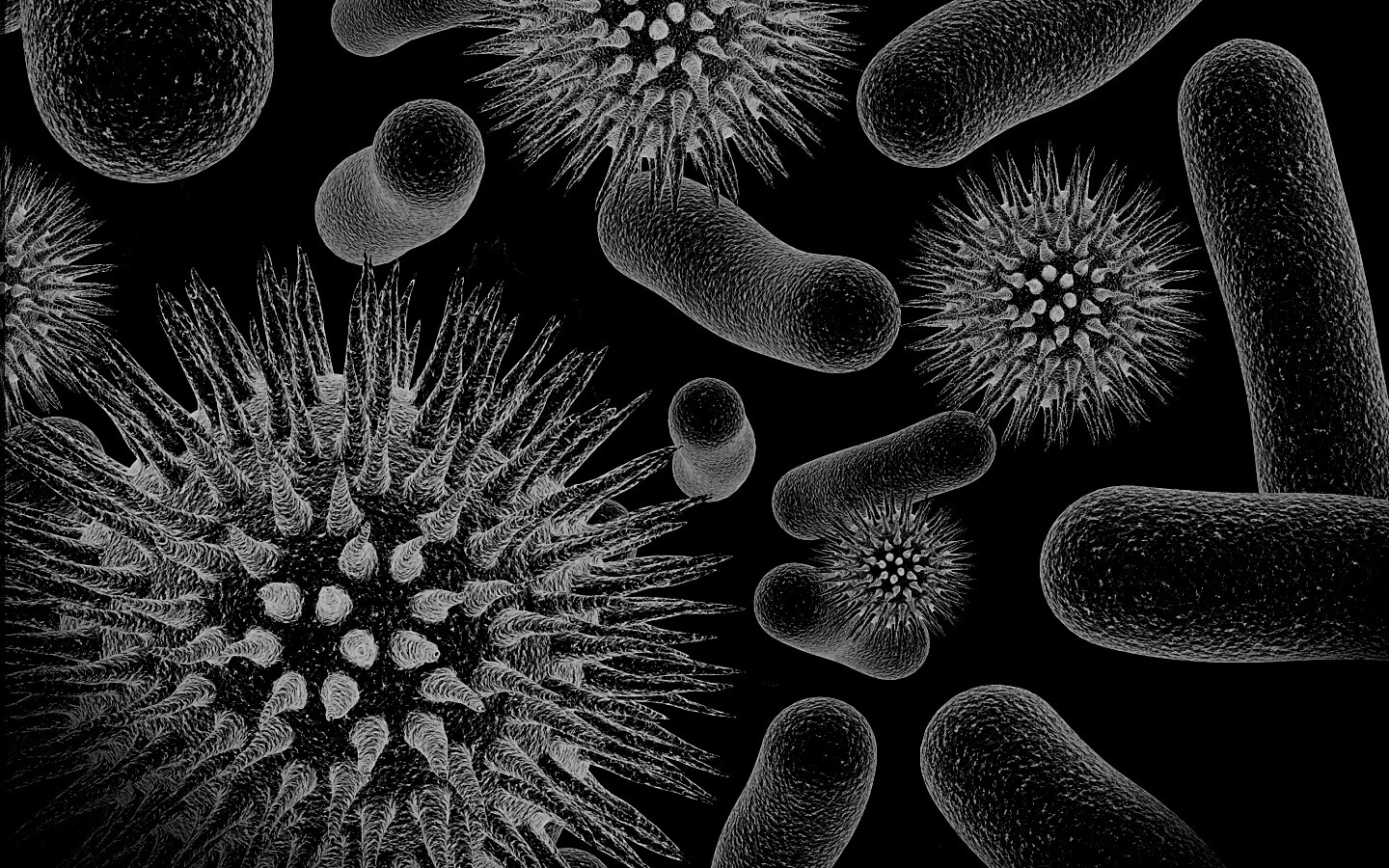 Бактерии обои