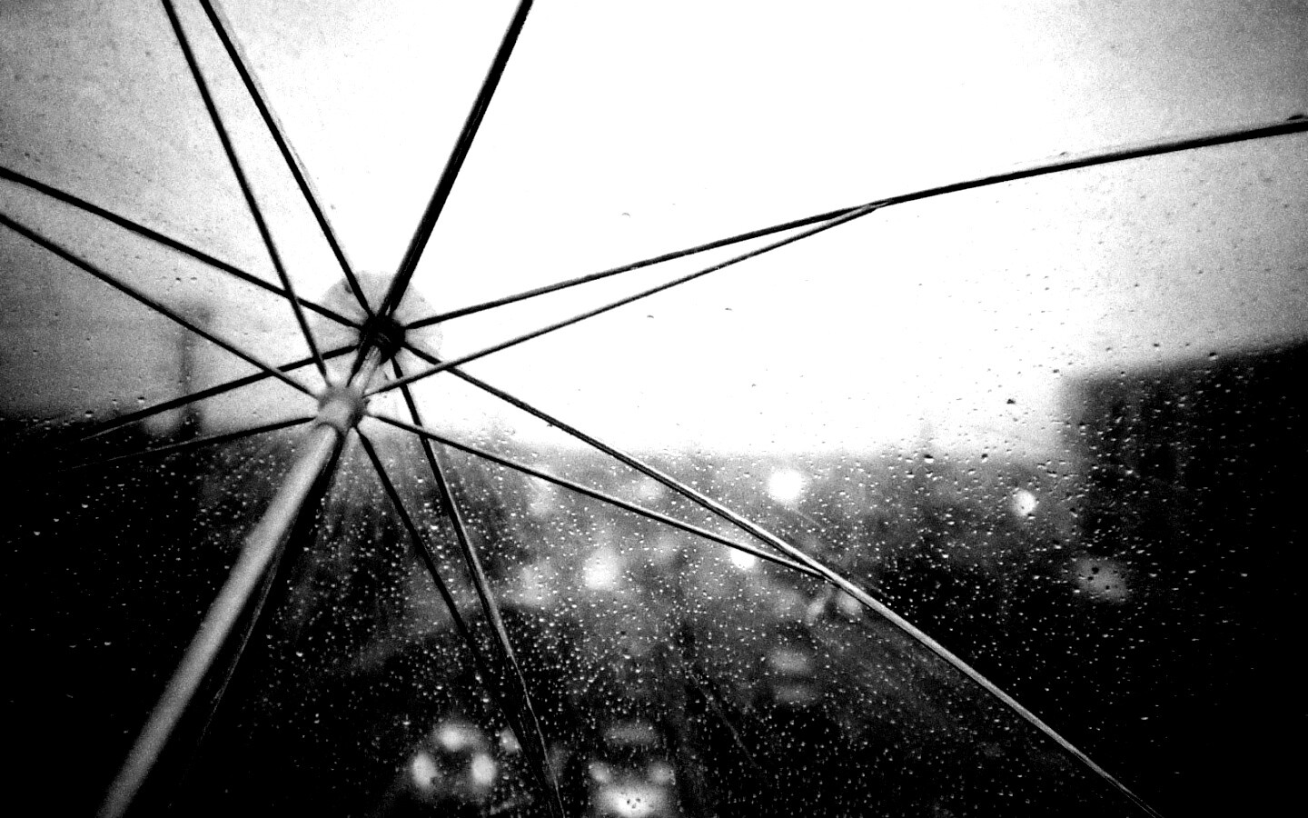 Вид сквозь прозрачный зонтик обои