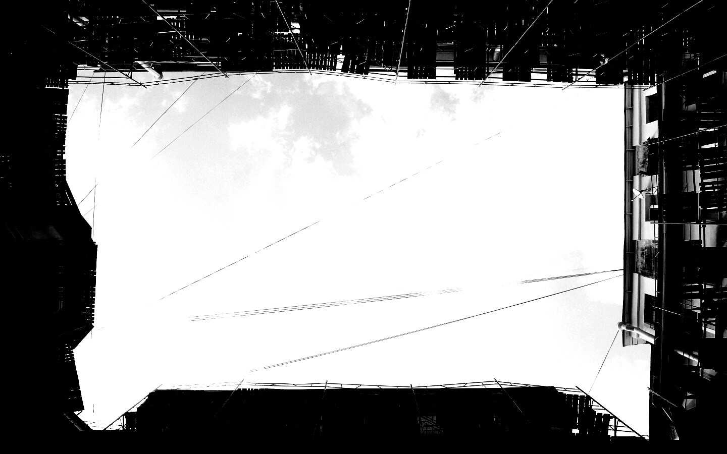 Человеческий муравейник обои