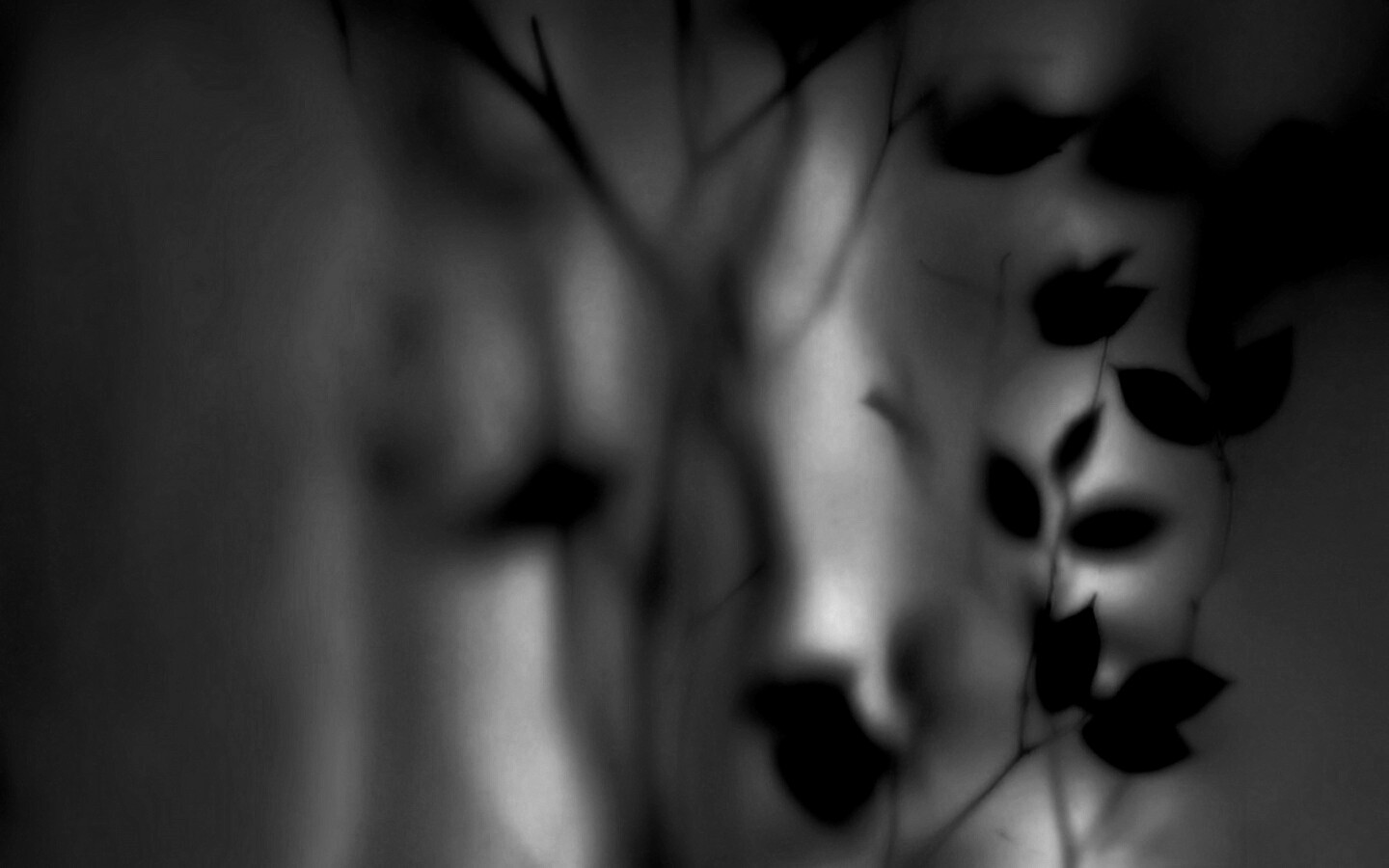 Зелень за стеклом обои