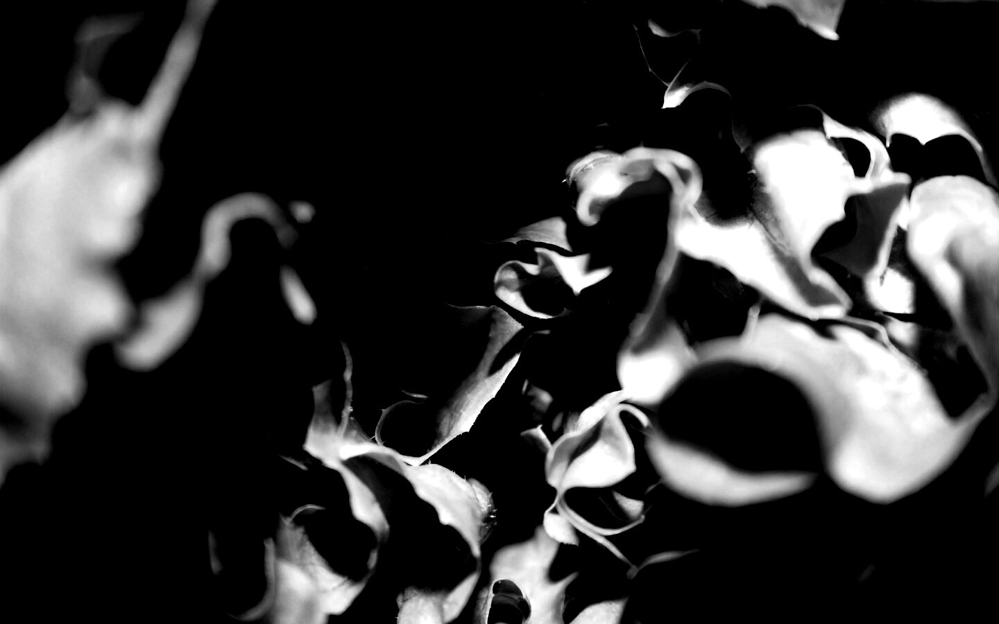 Зеленая листва обои