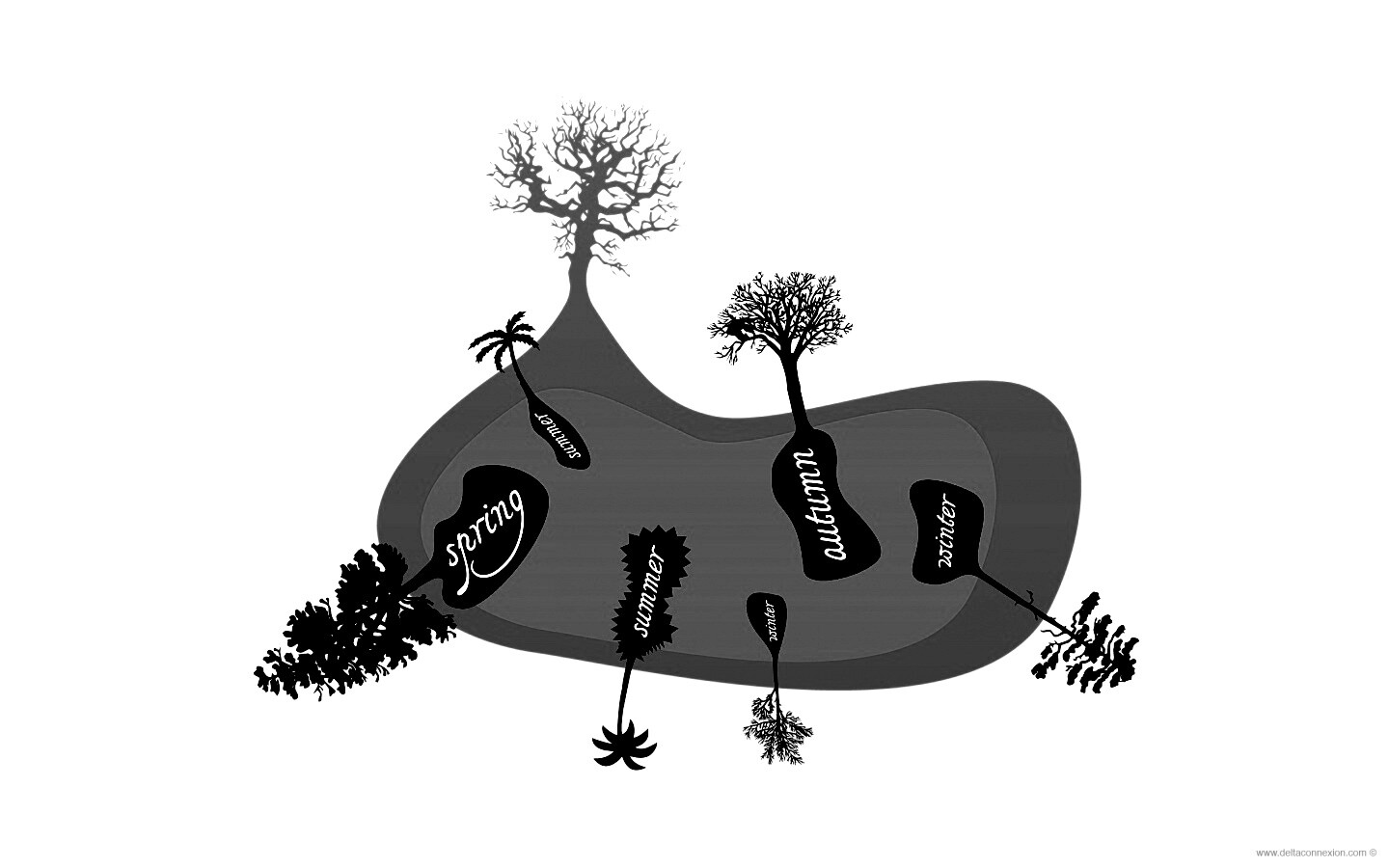 Деревья времен года обои