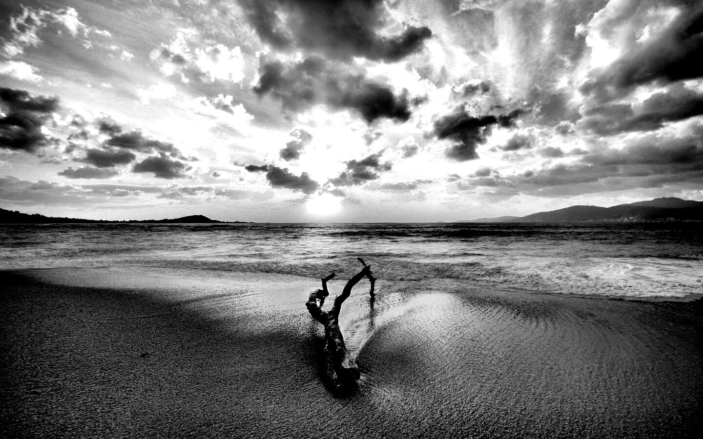 Коряга на пляже обои