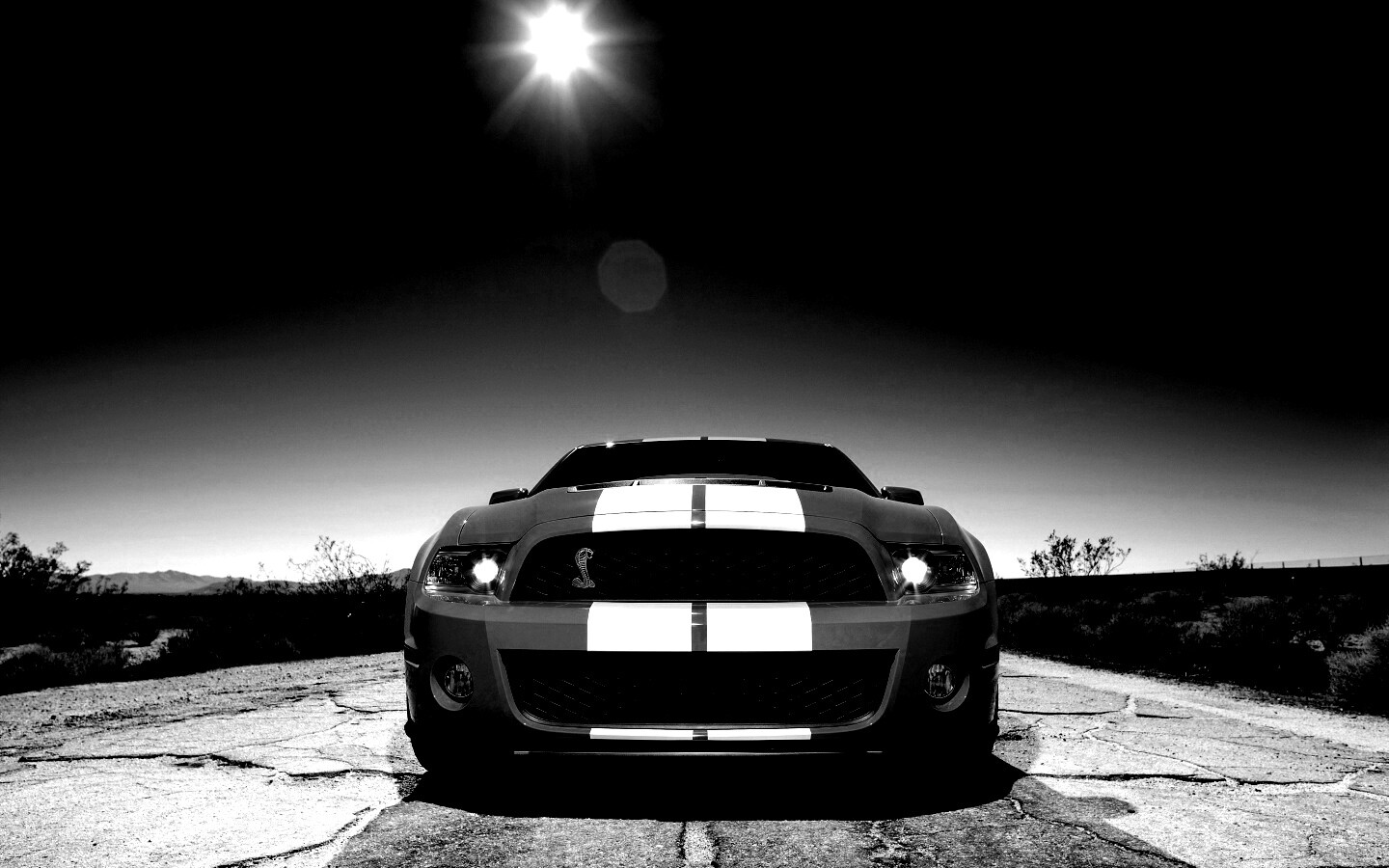 Форд Шелби обои