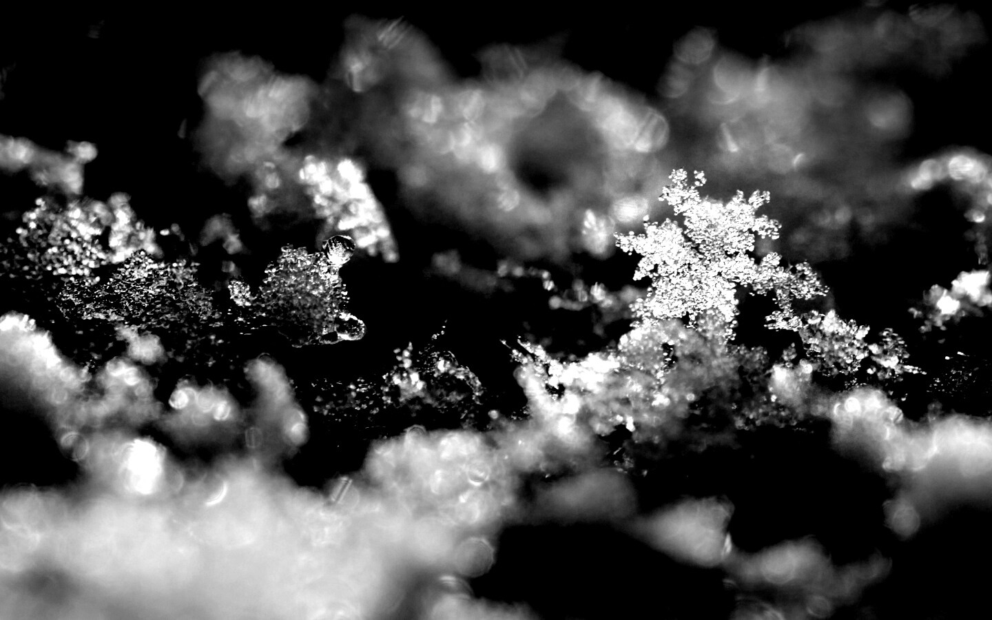 Макро фото снега обои