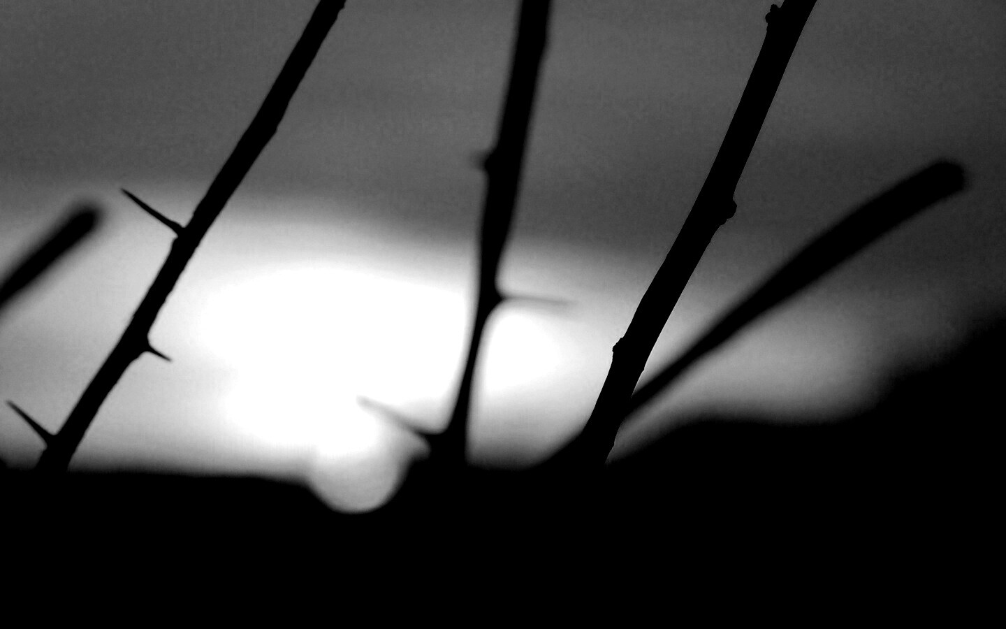 Закат солнца в поле обои