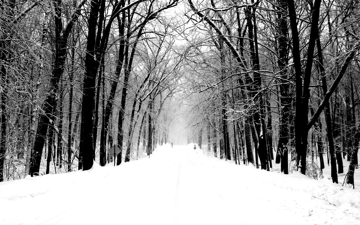 Дорога зимой в парке обои