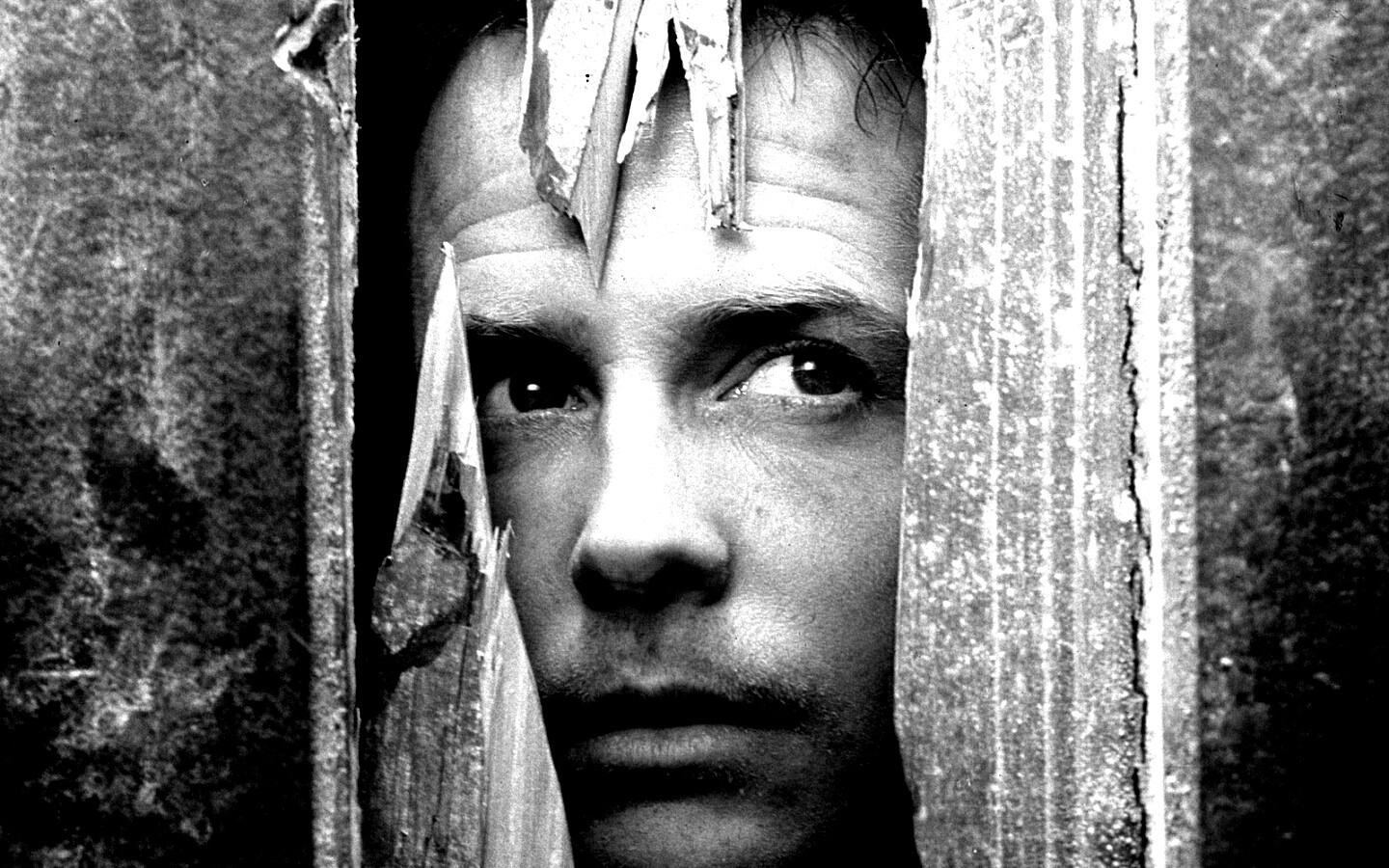 Страшилы обои