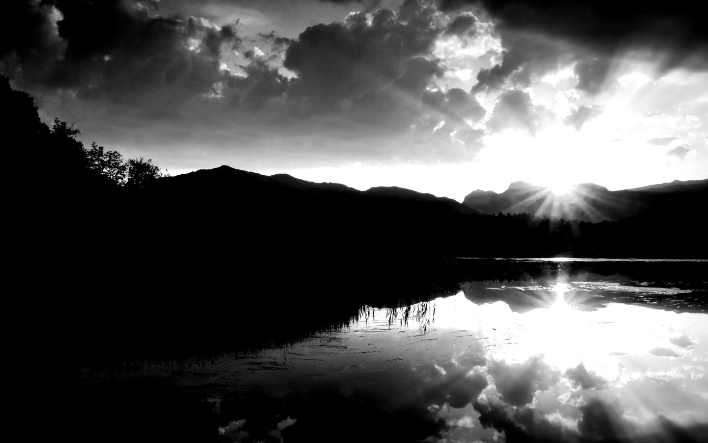 Закат за лесом обои