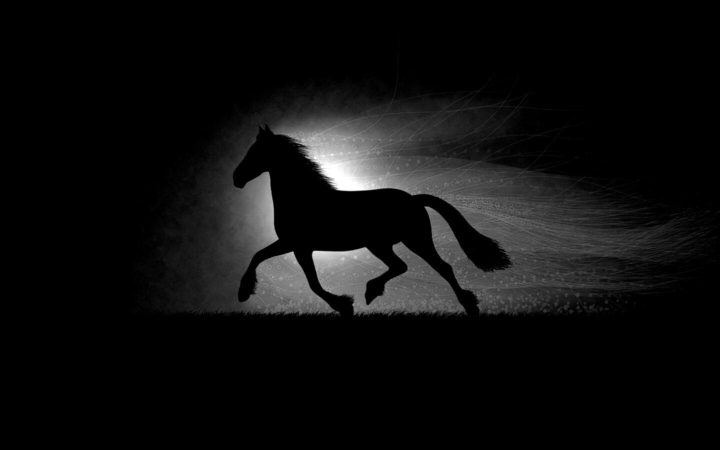 Силует коня на закате обои