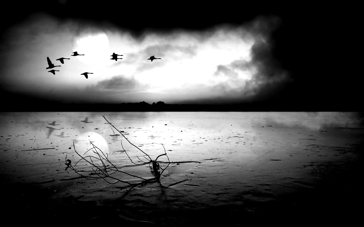 Полет птиц над озером обои