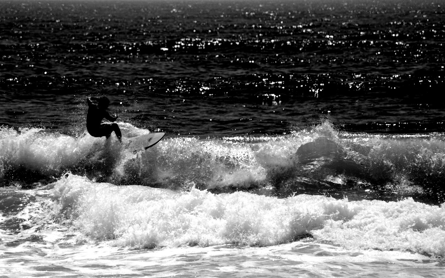 Сёрфенгист поймал волну обои