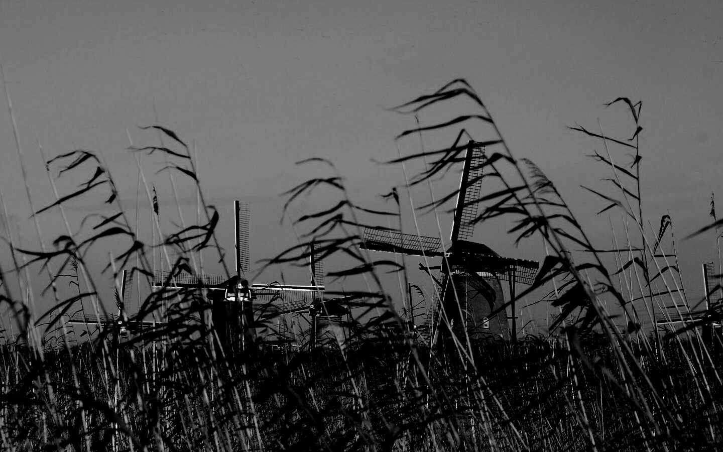 Мельницы обои