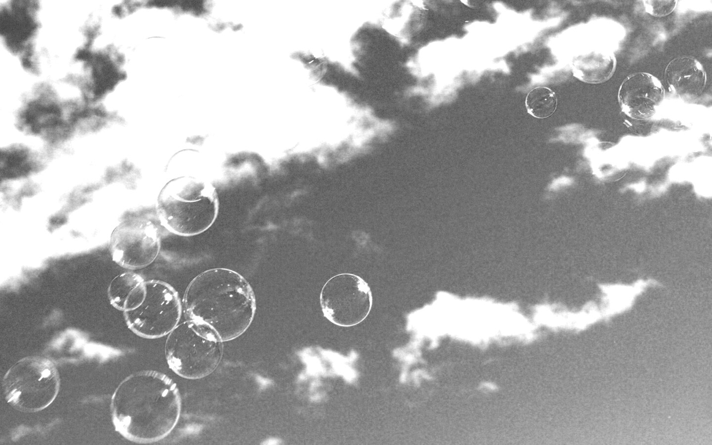 Мыльные пузыри в небе обои