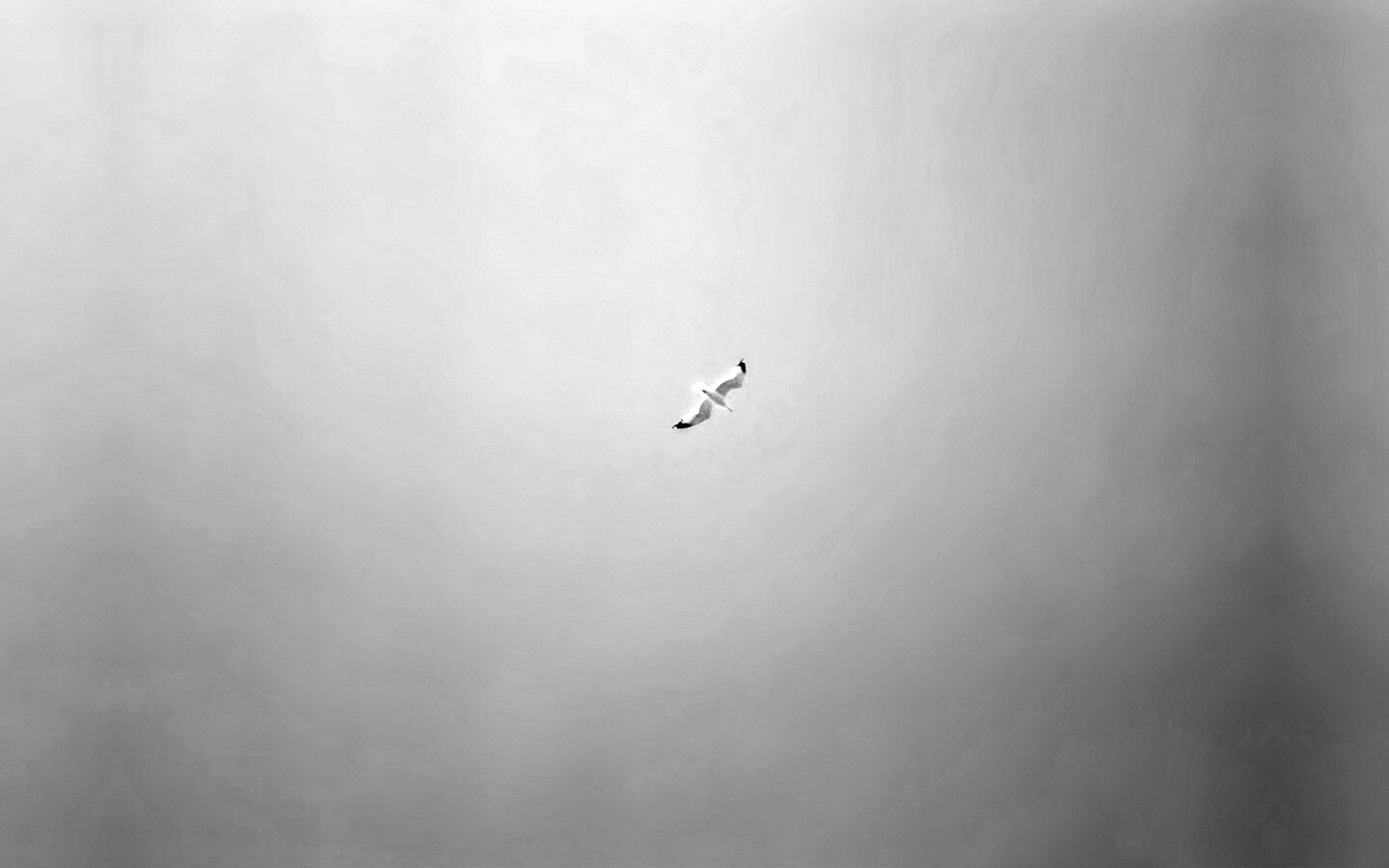 Полет  обои